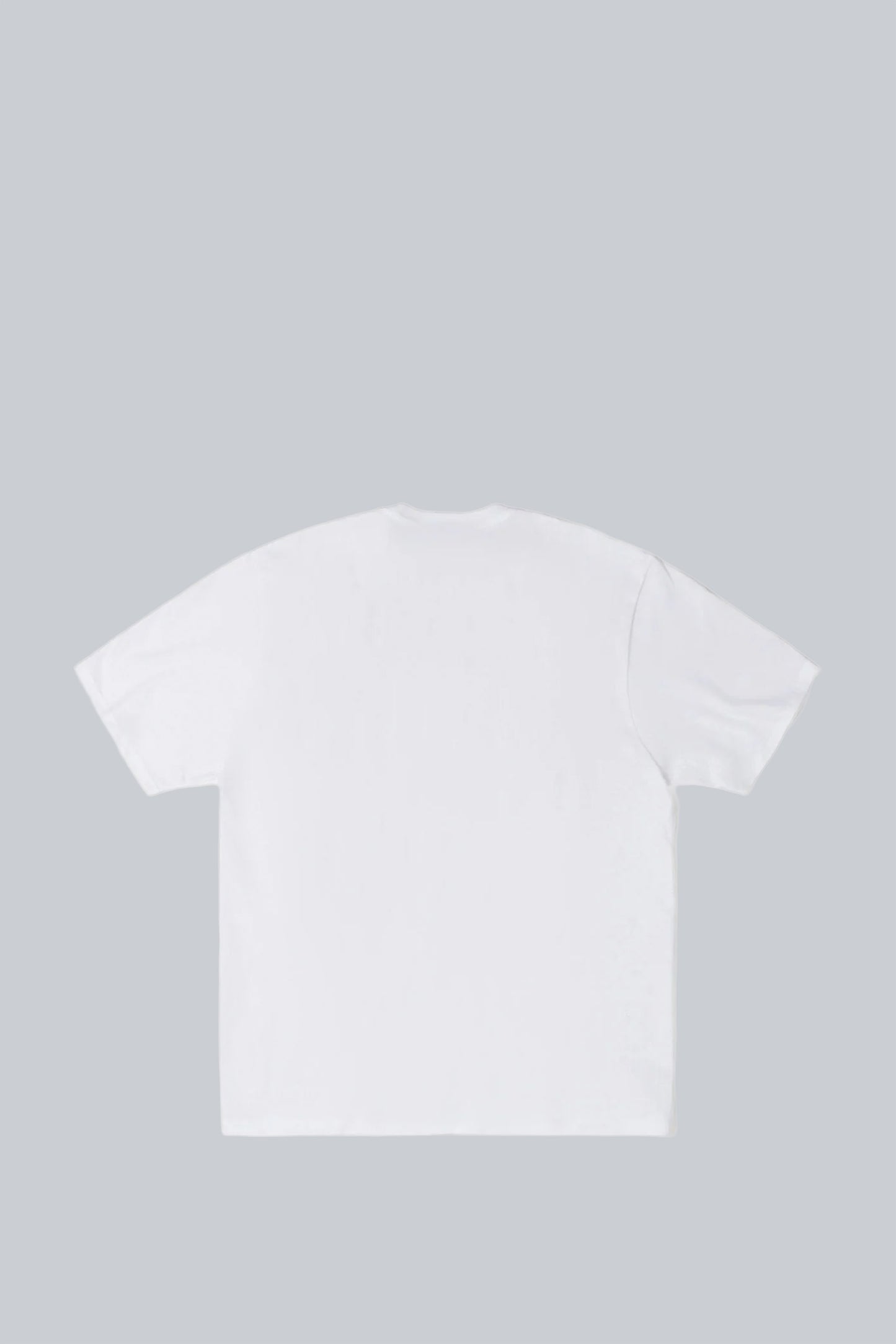 STUSSY SPEEDWAY TEE WHITE