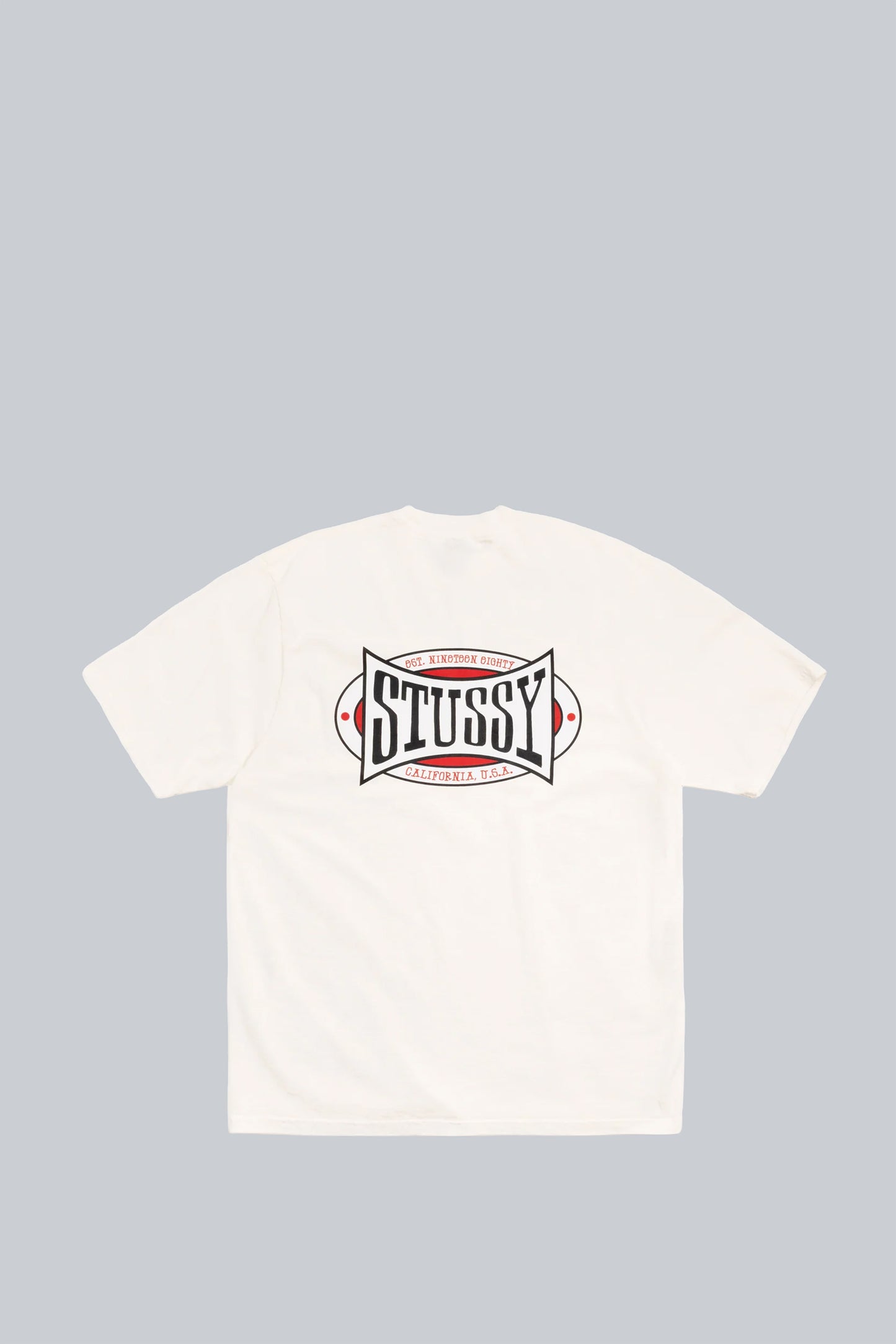 STUSSY CHAMPION OVAL PIG. DYED TEE NATURAL