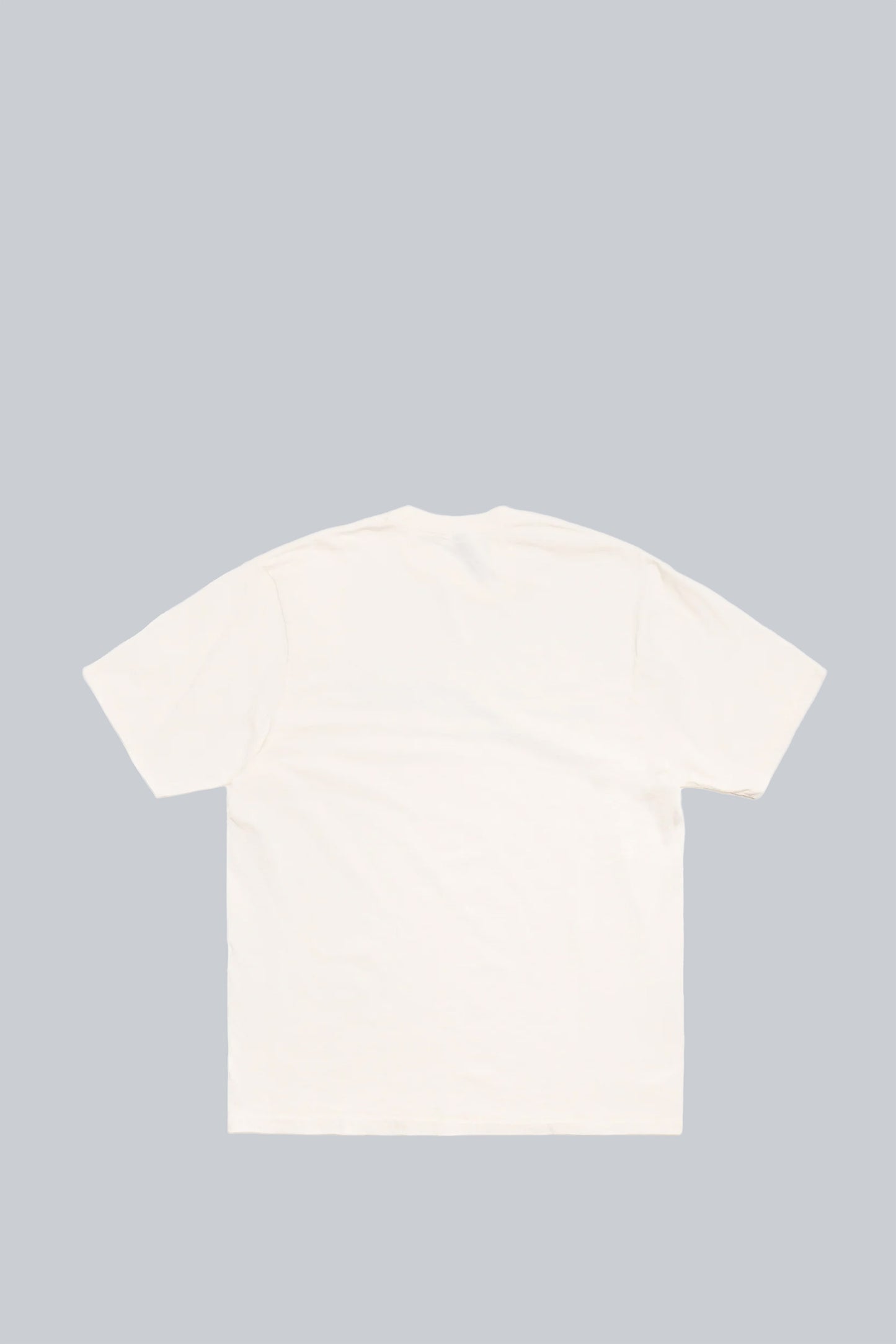 STUSSY STRETCH PIG. DYED TEE NATURAL