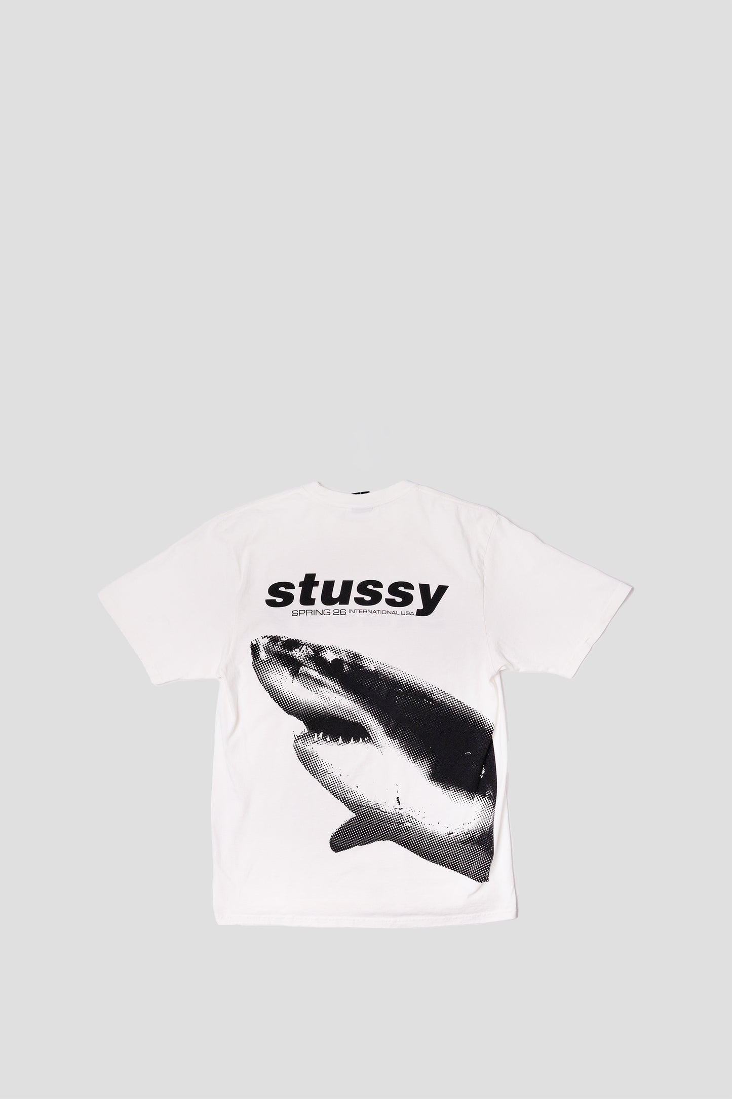 STUSSY SHARK PIG. DYED TEE NATURAL